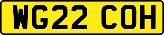 WG22COH