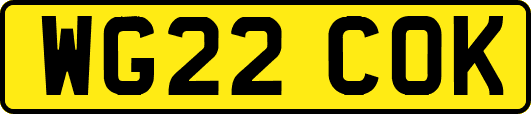 WG22COK
