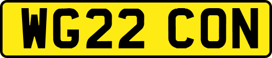 WG22CON
