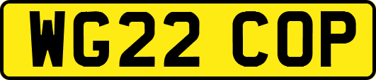 WG22COP
