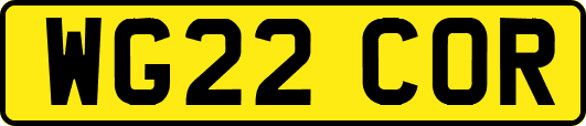 WG22COR