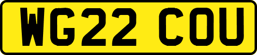 WG22COU