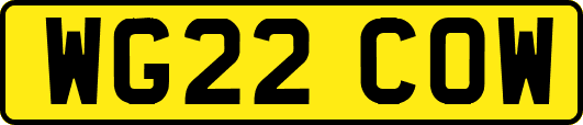 WG22COW