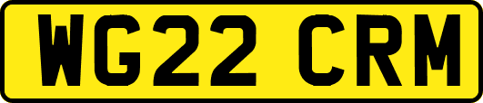 WG22CRM