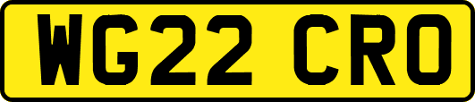 WG22CRO