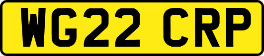 WG22CRP