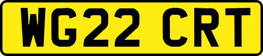 WG22CRT