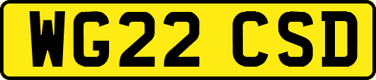WG22CSD