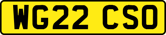 WG22CSO
