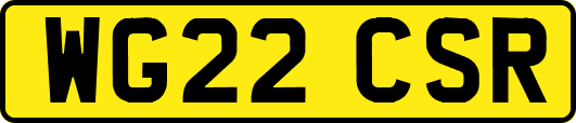 WG22CSR