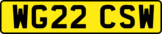 WG22CSW