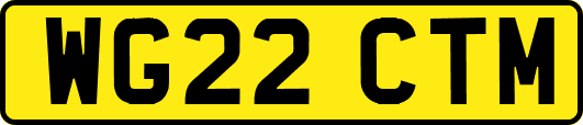 WG22CTM