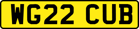 WG22CUB