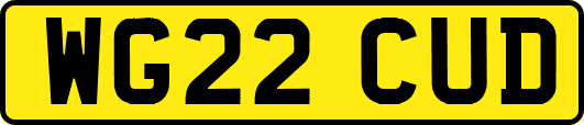 WG22CUD