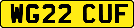WG22CUF