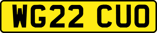 WG22CUO