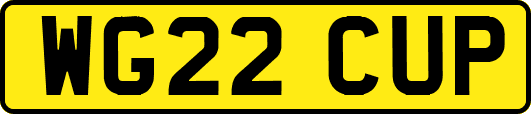 WG22CUP