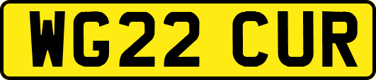 WG22CUR