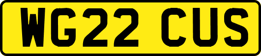 WG22CUS