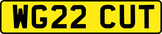 WG22CUT