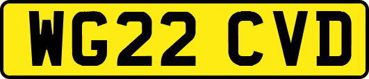WG22CVD