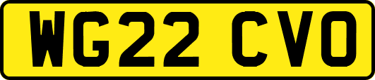 WG22CVO