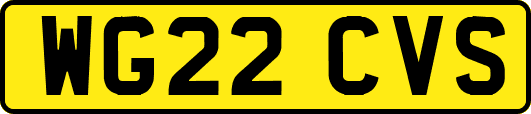 WG22CVS