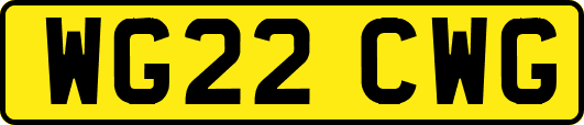 WG22CWG