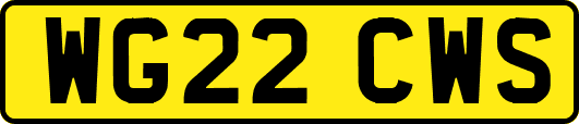 WG22CWS