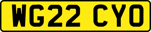 WG22CYO