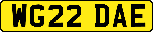 WG22DAE