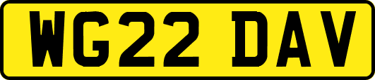 WG22DAV