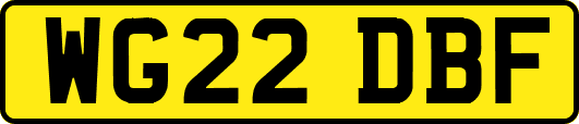 WG22DBF