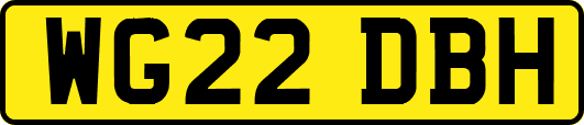 WG22DBH