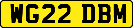 WG22DBM