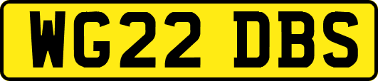 WG22DBS