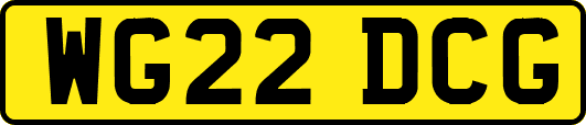 WG22DCG