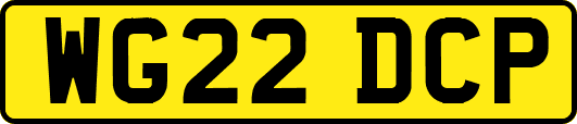 WG22DCP