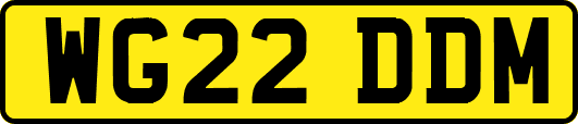 WG22DDM