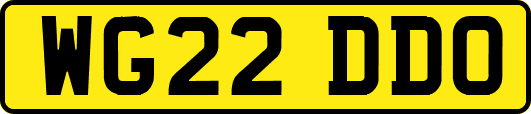 WG22DDO