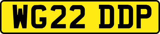 WG22DDP