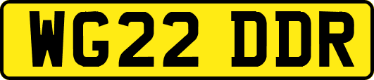 WG22DDR