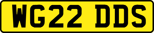WG22DDS