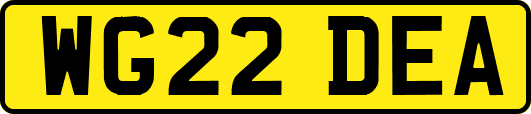 WG22DEA