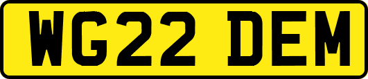 WG22DEM