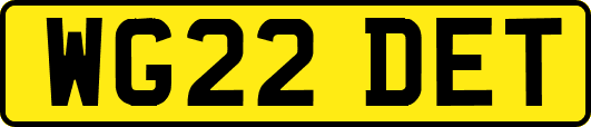 WG22DET