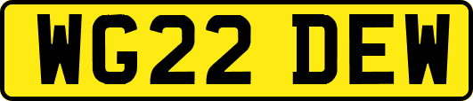 WG22DEW