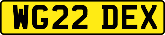 WG22DEX