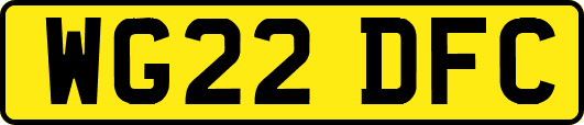 WG22DFC