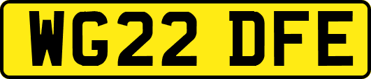 WG22DFE